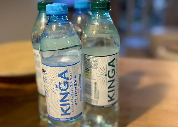 Airport Nowe Ogrody Comfort * Poznan