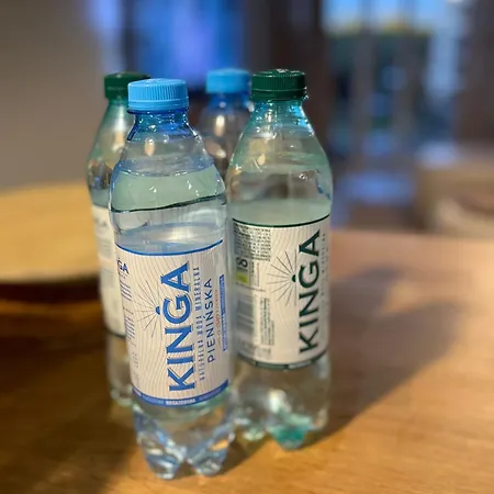 Airport Nowe Ogrody I 24h Check In * Posen